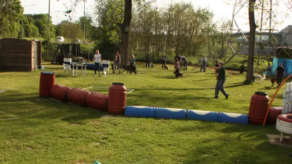 dressage de chien à hermalle sous huy cours collectif d'éducation canine à hermalle sous huy